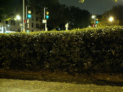 20061022 044457